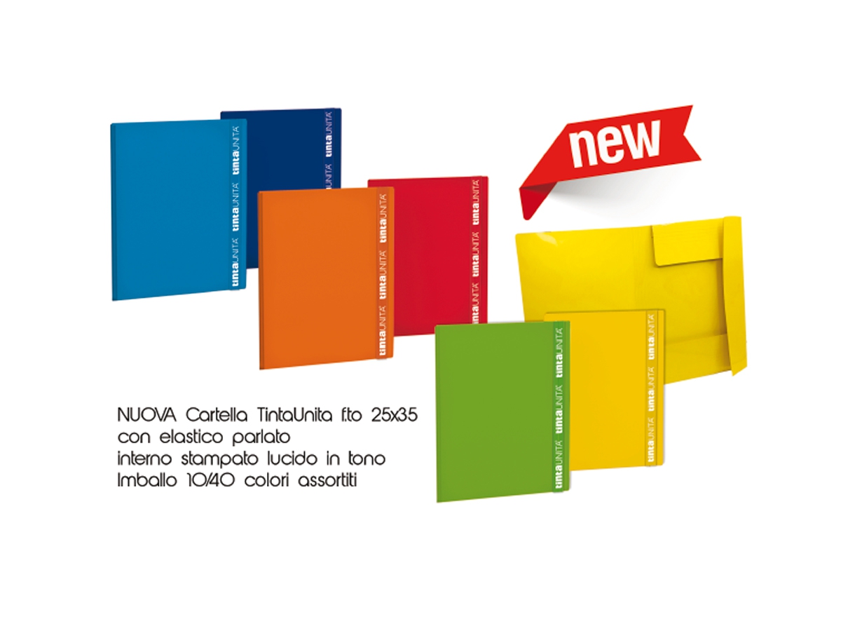 CARTELLA CON ELASTICO PIATTO TINTAUNITA CARTELLA CON ELASTICO PIATTO TINTAUNITA