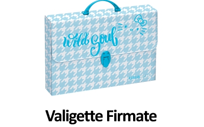 VALIGETTE POOL OVER - TINTAUNITA LINEE SPECIALI